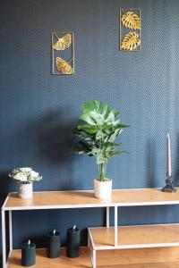 Appartements Gite 