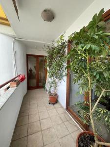 Dajti View Apartment