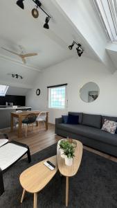 Appartements Loft 101 : photos des chambres
