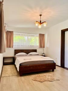Balabani Local Stay
