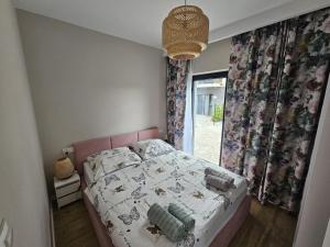 Sosnówkowy Zakątek