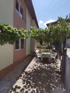 Studia Daniel Pestani - 特佩杰卡