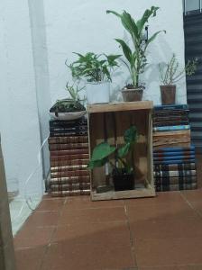 Refugio dos viajantes