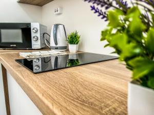 Villa Blue City Apartman