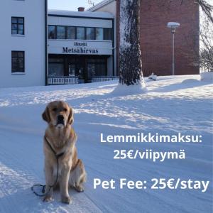 Hotel Metsähirvas