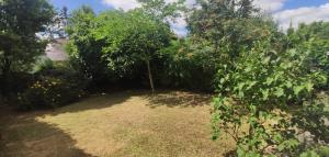 Maison et jardin Nantes Chantenay