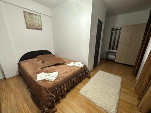 Casa Rustic Pitești 2