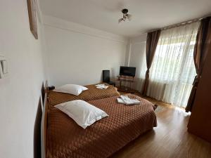 Casa Rustic Pitești 2