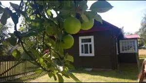 sielskie kulikow - Gilów