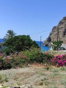 Katerina studios D Lentas