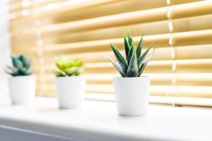 2Bed Garden & Private Parking Near A19 - Perfect for Contractors