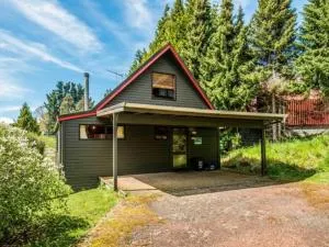 Snow Chalet - Ohakune Chalet - Tangiwai