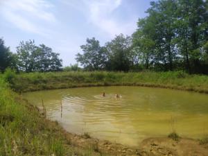 Country House Uliana