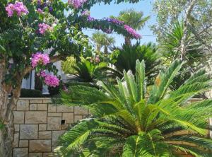 Apartments White House