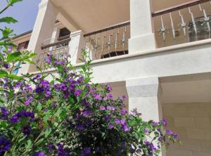 Apartments White House