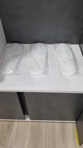 Trumpalaike buto nuoma