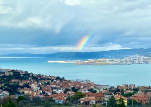 Anima Gea Experience