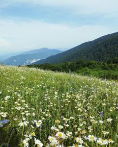 Country House Uliana