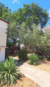 UNIQUE Apartments Malinska