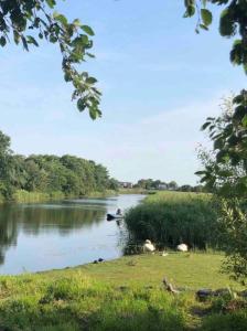 Riverfront Home - BEST LOCATION - SUP and Bike