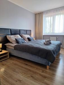 Apartament na Polnej