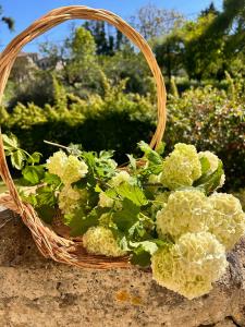 Villas Le Refuge d-Alienor at Domaine Le Touran near Saint Emilion : photos des chambres