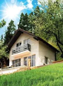 Casa din gradina - 波亚纳默鲁卢伊