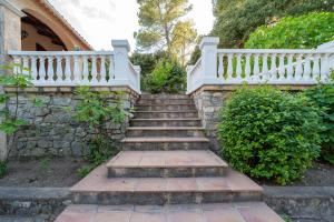 Villas Villa provencale Peical : photos des chambres