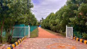 Chandana green view resort Hampi