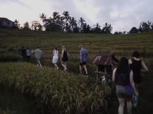 Green Ponci Retreat By Balitrees