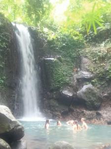 Green Ponci Retreat By Balitrees