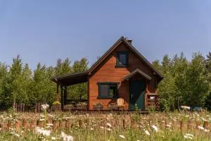 Głuszecki las - Bobrowiec