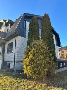 Tammetõru Villa