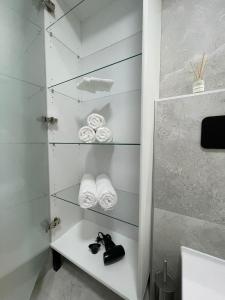 Matis 1 - Apartmán Brno centrum