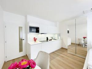 Matis 1 - Apartmán Brno centrum