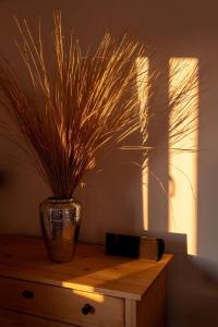 Panoramaapartment am Ochsenkopf