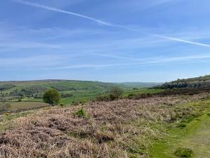 The Fox & Hounds Inn & Camping Pods