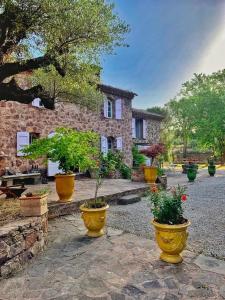 Charming studio in the peace and quiet of Provence