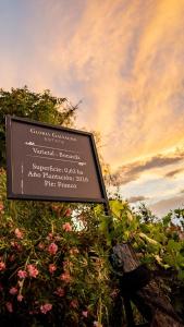 glamping en el viñedo