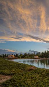 glamping en el viñedo