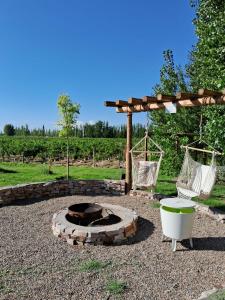 glamping en el viñedo