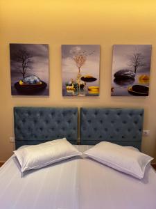 Berat City Panorama 1