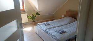 Apartament Tczew-duże pokoje!