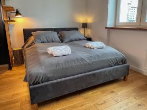 Apartament KOŁO parku