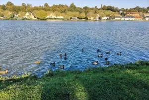 Welcome to Tuffe - 贝尔纳堡