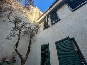 Tranquility Villa in Tirana with Pool