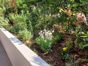 Appartements Studio Antares-1 by Interhome : photos des chambres