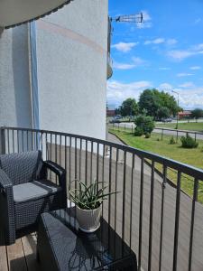 Nomuojami apartamentai 600m iki juros