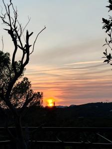 B&B / Chambres d'hotes Villa Alba en Provence : photos des chambres