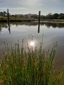 Reserva Jasmim Casa de Campo - 戈亚内西亚